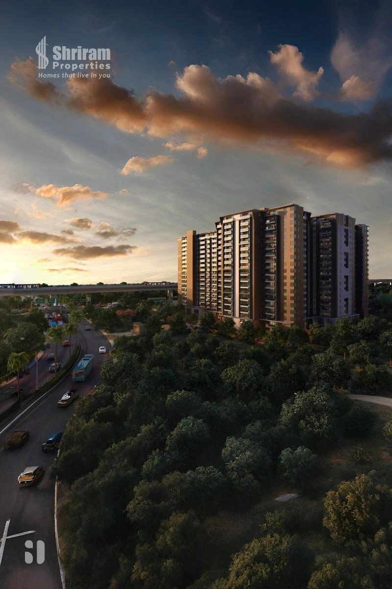 Service v5 right image